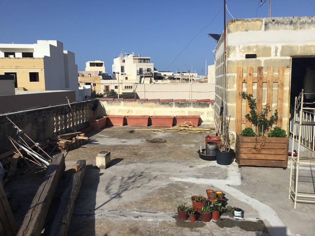 rooftopgarden: beginning without vegetable garden
